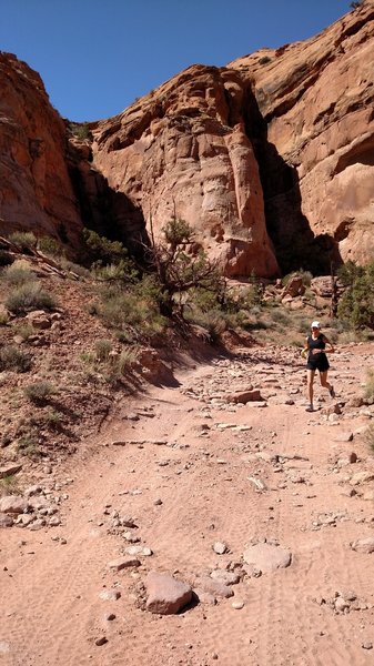 Rock fins abound this trail run.