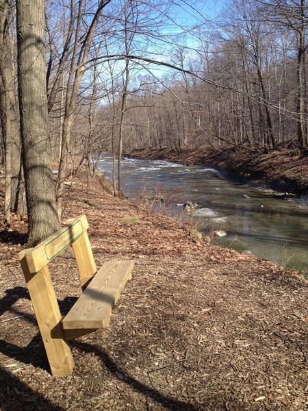 A small bench overlooking the Euclid Creek.