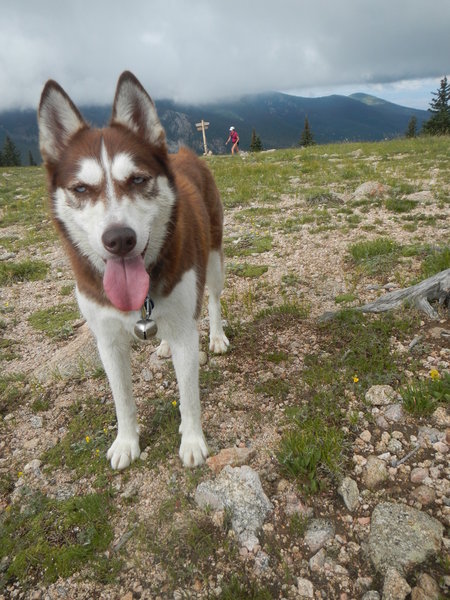 Leading the way on the Aspen Vista Trail