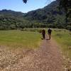 Looking back at the meadows on Lower Bald Mountain Trail