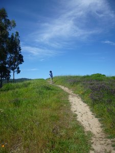 Blue skies at China Camp State Park