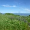 San Pablo Bay from the Shoreline Trail