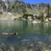 Santa Fe Baldy towering over Lake Kathrine...and a husky enjoying a swim.