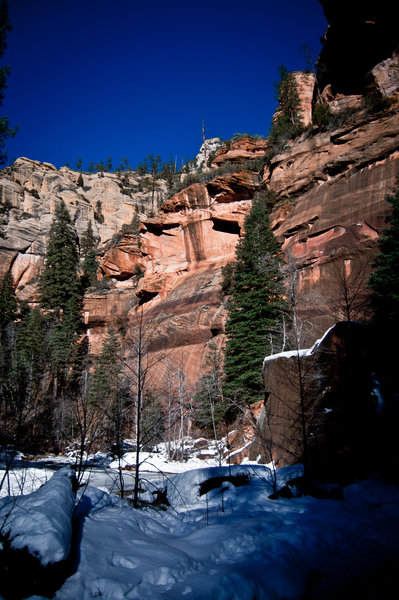 Red sandstone along West Fork Oak Creek.