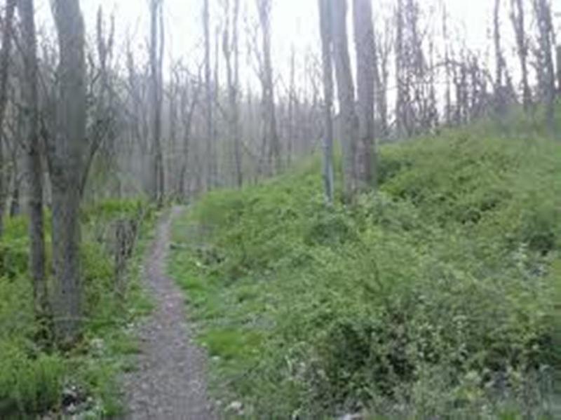 Rachel Carson Trail in Spring