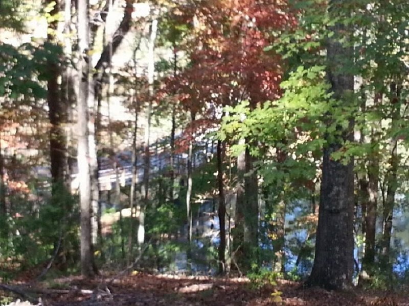 Look through the trees at the boardwalk bridge along the Panola Mtn trail.
