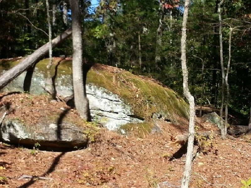 Mossy rocks along the trail.