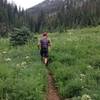 We ran Avalanche Creek to Avalanche Lake as an out and back. Here's a shot from the way back.