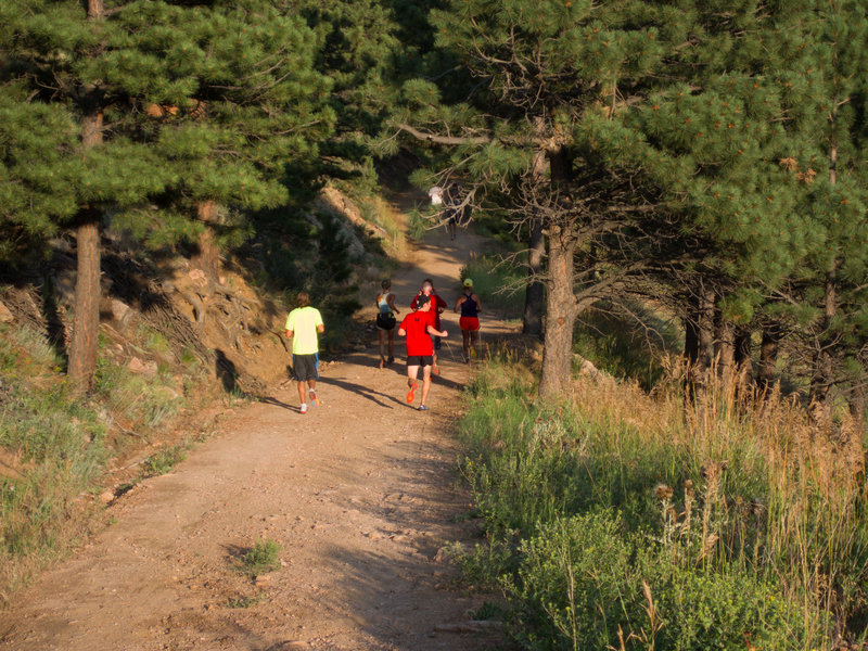 Runners heading up Tower's Road.