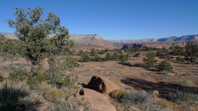 Looking towards Tuckup Point from the Saddle Horse Loop