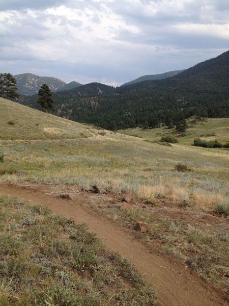 A nice open view halfway through the Walker Loop.