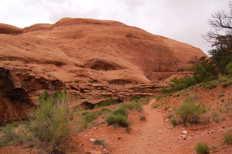 Sandy canyon singletrack trail in Grandstaff Canyon.