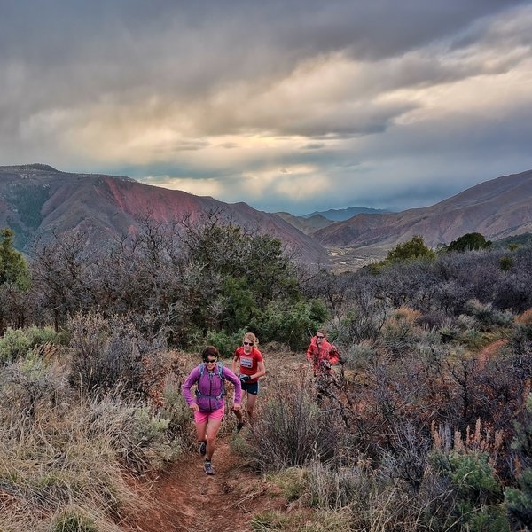 A chilly evening run up to the top of the Boy Scout Trail. Photo by Ann Driggers