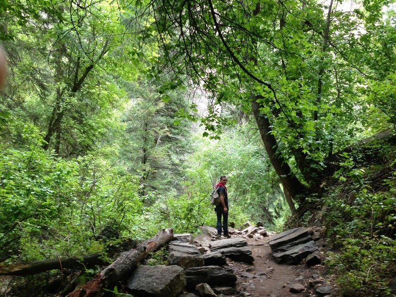 Working up the Hanging Lake Trail