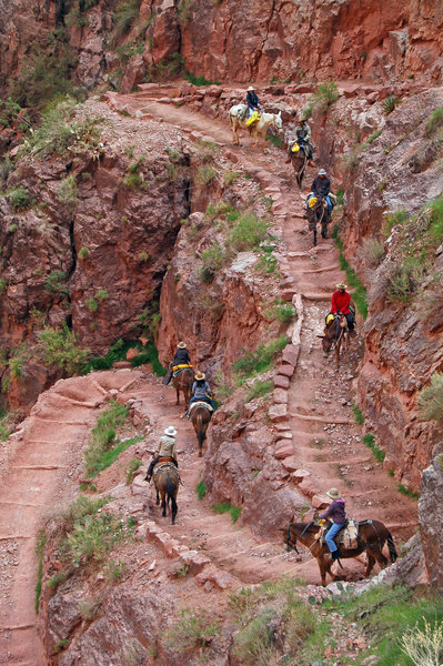 This trail is STEEP!