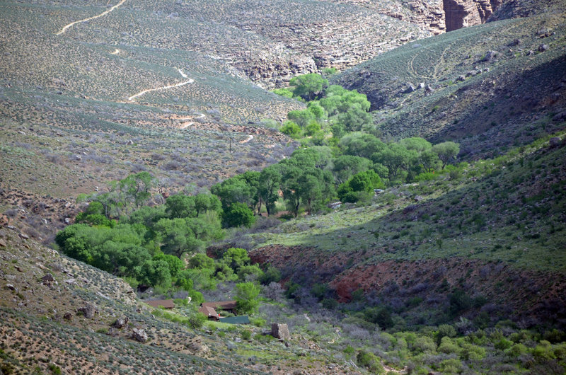 The oasis within the canyon.