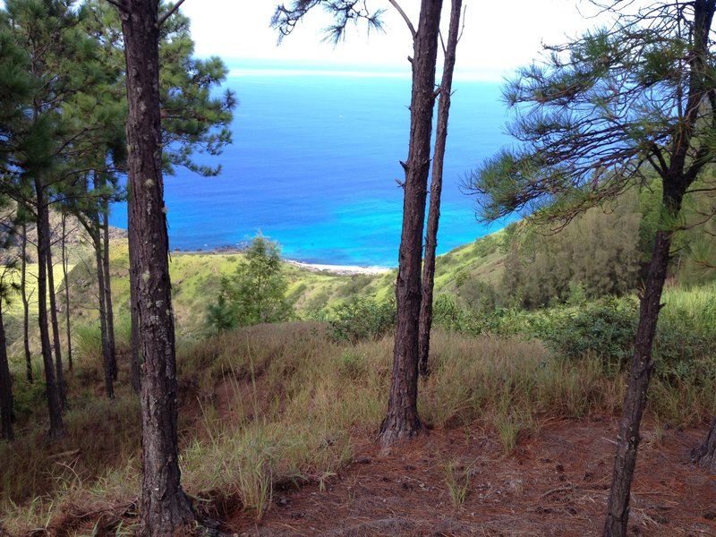 View from Kuaokala Trail.