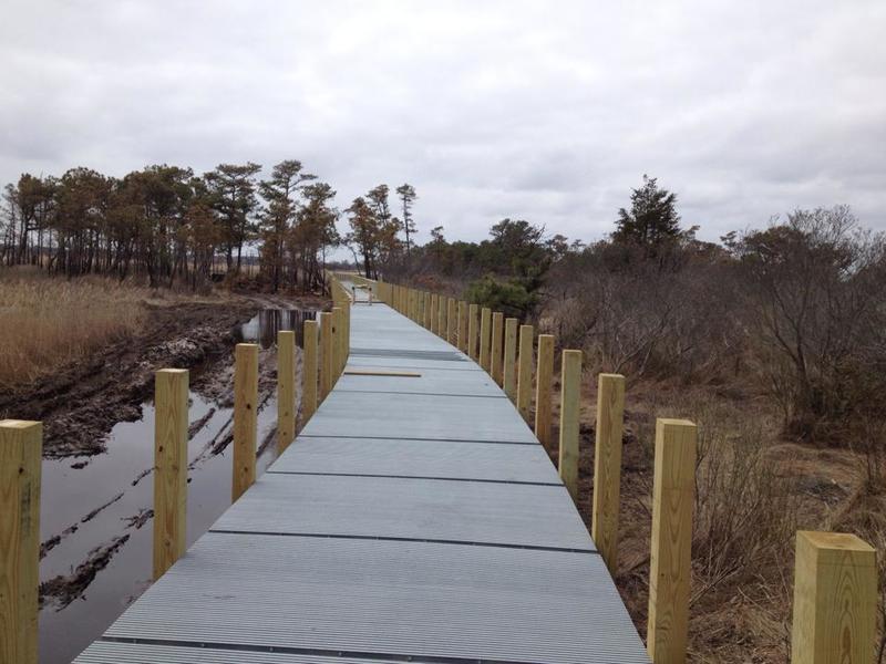 New raised walkway on Gordon's Pond Trail