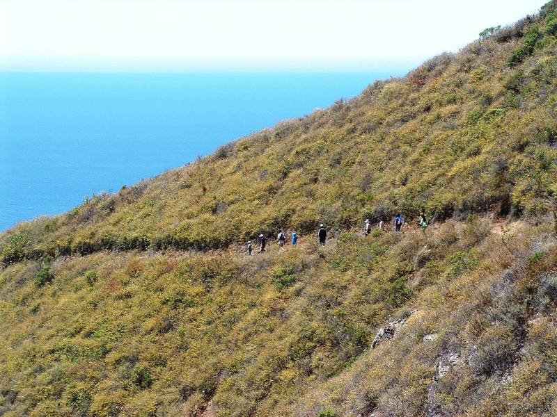 Lots of users of the Ewoldsen Trail.