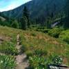 Looking up Willow Creek at the avalanche debris