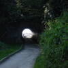 Pedestrian tunnel along McWay Waterfall Overlook Trail