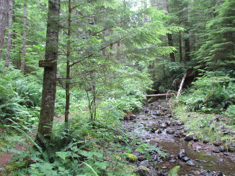 Littleton Creek, near the Mount Muller trailhead.