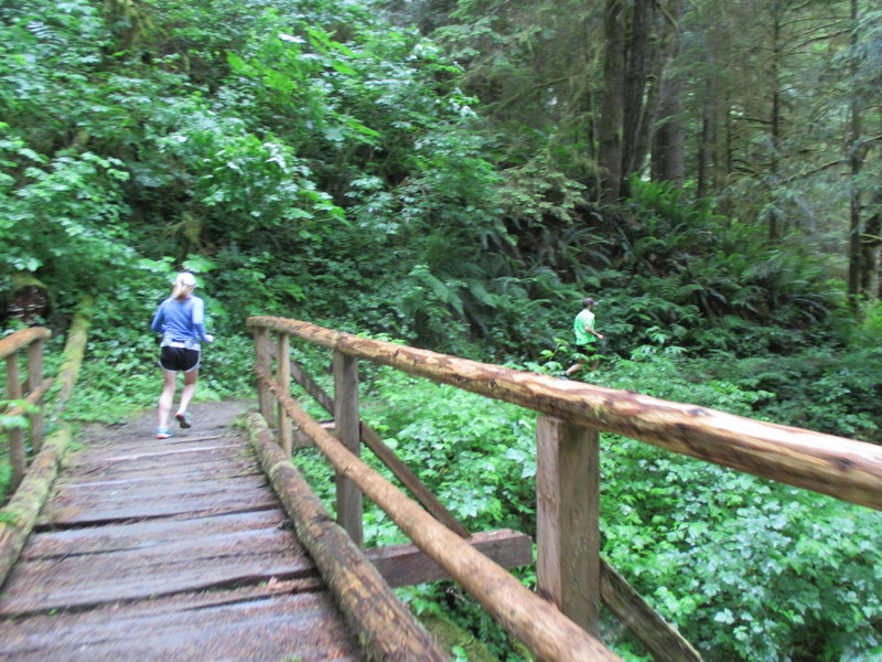 Trail runners crossing one of approximately eight bridges along the Little River Trail.