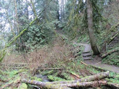 Lots of this fun stuff on the Peabody Creek Trail
