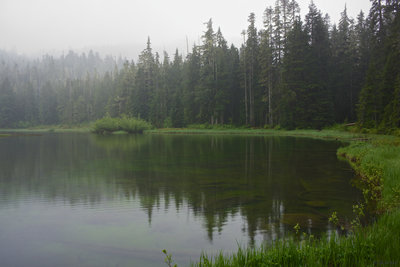 Mink Lake in the fog - Olympic National Park