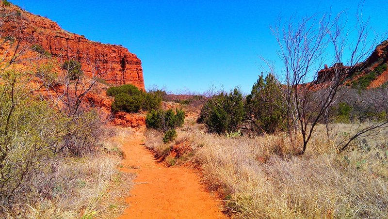 Upper Canyon Trail (trail C) east of Fern Cave