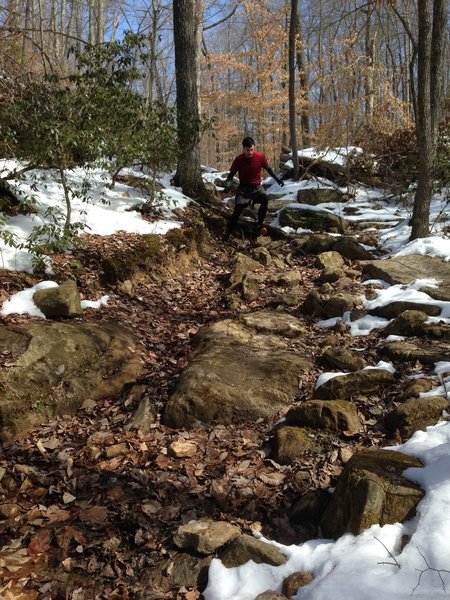 This is the worst of the technical sections on First Creek Trail. Short, but steep & rocky.