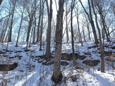 Great scenery... on the First Creek Trail