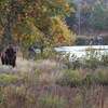 Early morning at Burford Lake