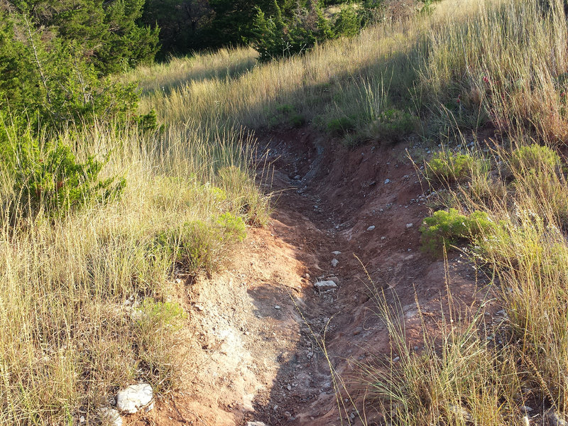 Steep little downhill channels, common for the Switchback Trail.