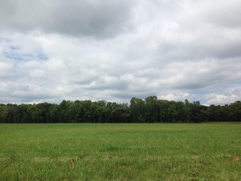 The field of Weldon Peete Park