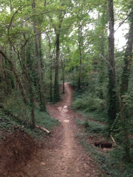 Dry creek crossing at Low Hollow