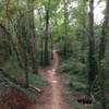 Dry creek crossing at Low Hollow