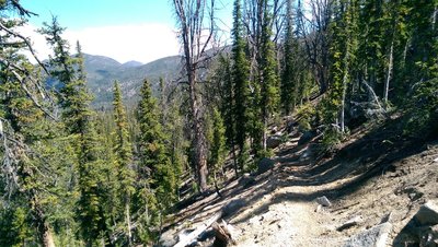 Almost to the top!