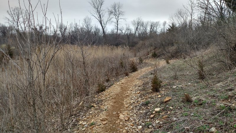 A bit different terrain from the rest of the park - on the Saw Wee Kee Trail