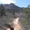 No shade. Great when it's cold. Not so much when it's hot.  On the Palmer Trail.