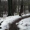 Melting the snow on the Tyler State Park Loops