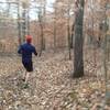 Taking on the Buffalo Creek Trail