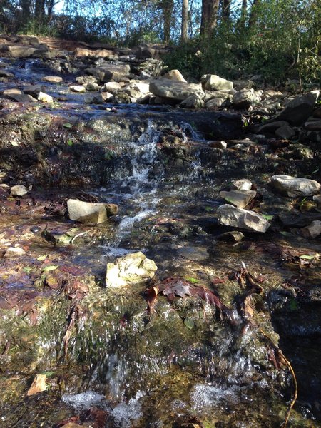 The natural spring at the rear of the property and a fun water crossing.  On the Lost River Cave Trails