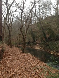 Short spur next to the river