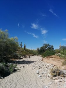 Desert wash along the Warpaint - Corona Loop Trail