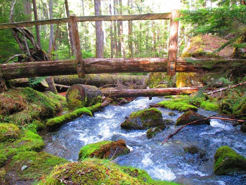 Lake Angeles Trail bridge over bubbled water