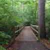 Entrance to the singletrack