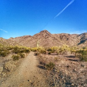First part of the Bursera Trail
