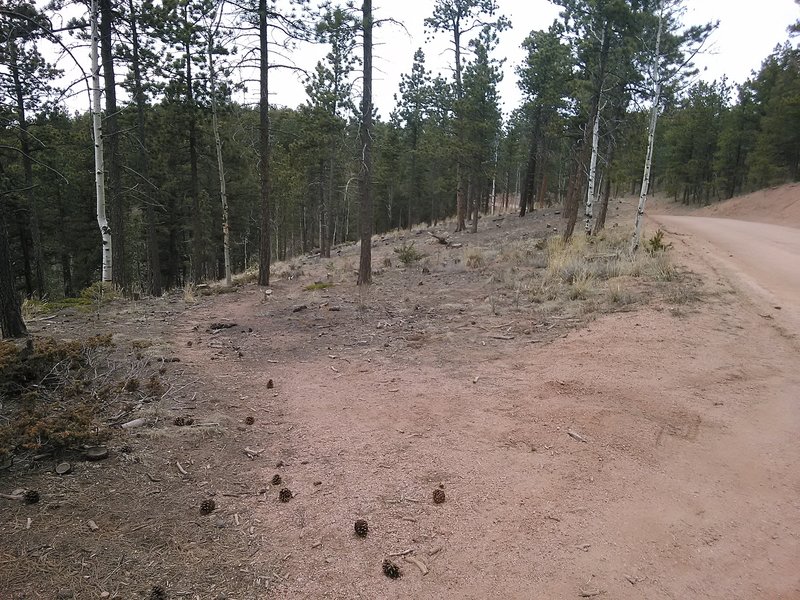 Across from FR 947 Entrance to White's Gulch Trail from Rampart Range Road