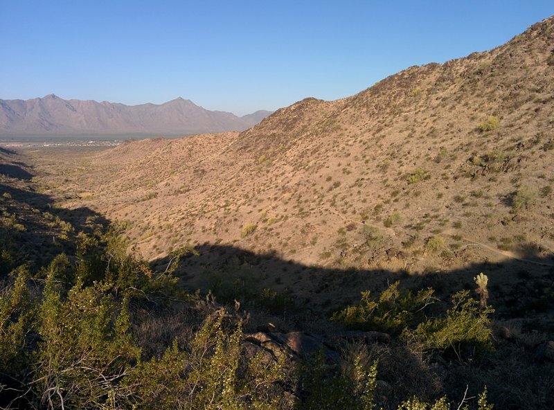 View of the Sierra Estrella from the Bursera Trail